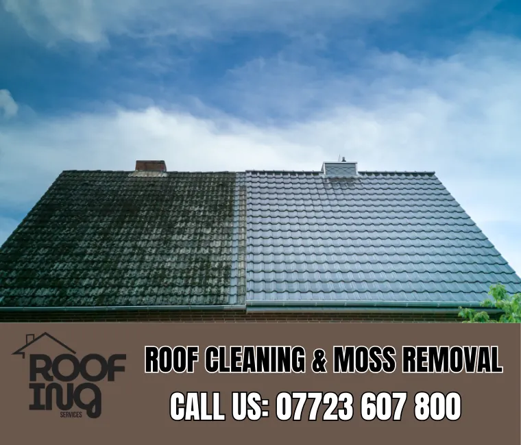 Roof cleaning and moss removal in Budleigh Salterton